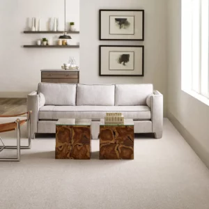 Light gray Shaw Floors carpet in a lightly colored living room | Brooks Flooring Services Inc