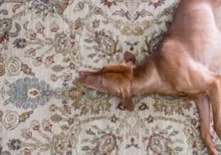 imgi_9_browseByMaterial